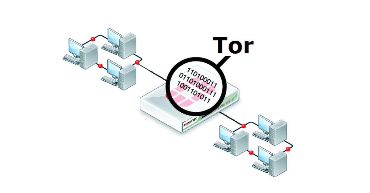 ¿Qué es la red Tor? ¿Cómo funciona? ¿Cómo usar la red Tor?