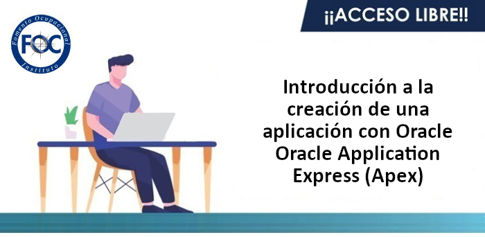 Introducción a la creación de una aplicación con Oracle Application Express (Apex)
